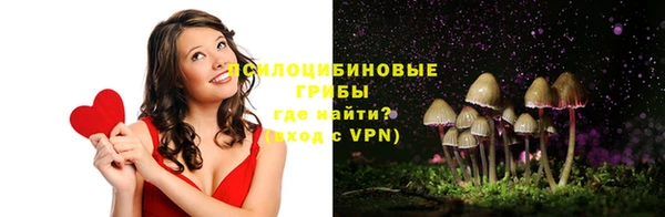 соль ск Белоозёрский